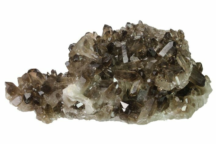 Dark Smoky Quartz Crystal Cluster - Brazil #138467